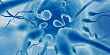 Ten tips to boost your sperm