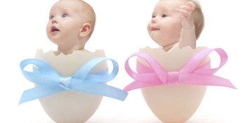 How We Choose Egg Donors