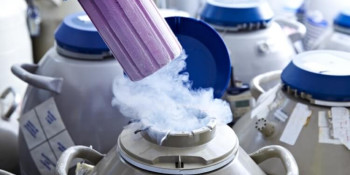 Important Facts to Know About Egg Freezing