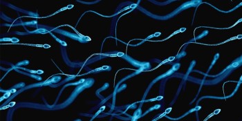 New methods to select healthy sperm in the lab (IMSI, PICSI, MACS)