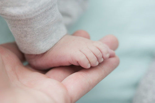 Egg Freezing Main Indications