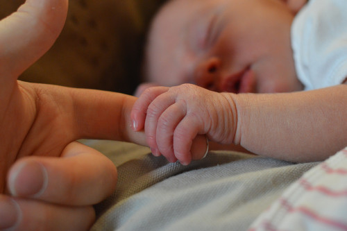Egg Donation Greece Donors Newlife