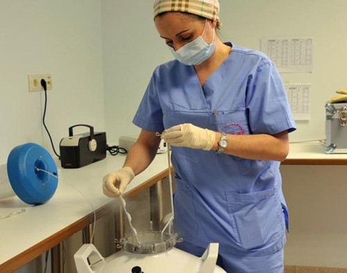 Fertility Treatments Embryo Freezing Fertility Treatments Embryo Freezing