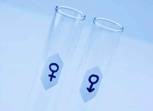 Fertility Treatments Donor Sperm Fertility Treatments Donor Sperm