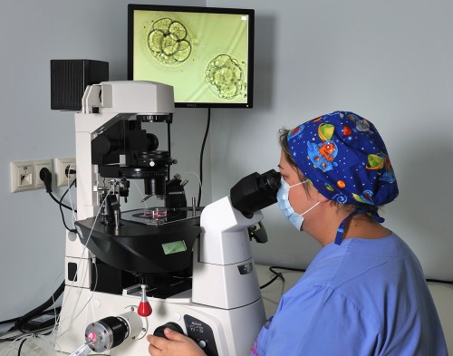 Fertility Treatments Assisted Hatching Fertility Treatments Assisted Hatching